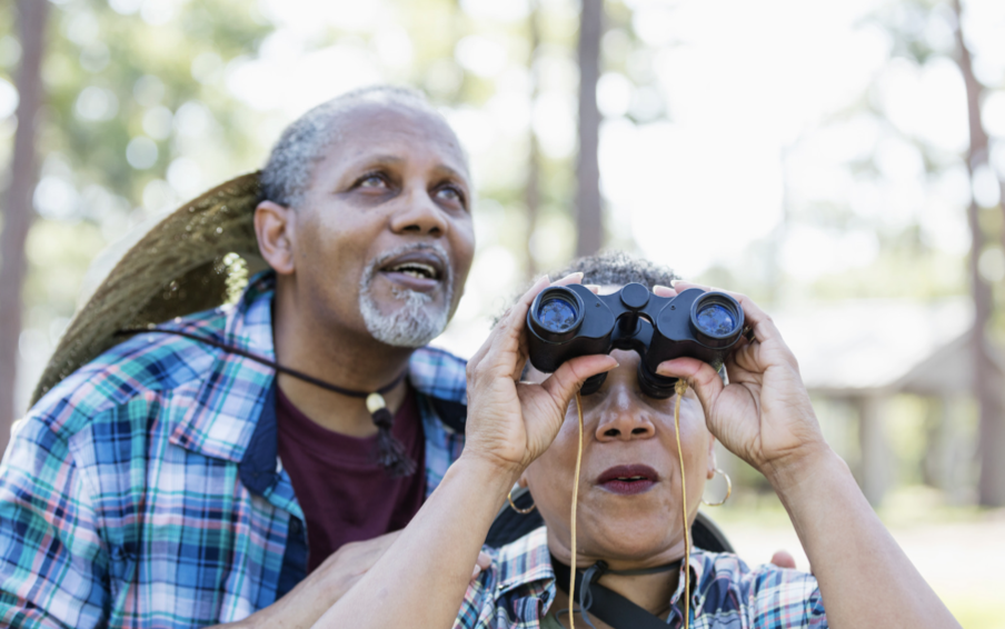 Is Bird Watching A Popular Hobby?