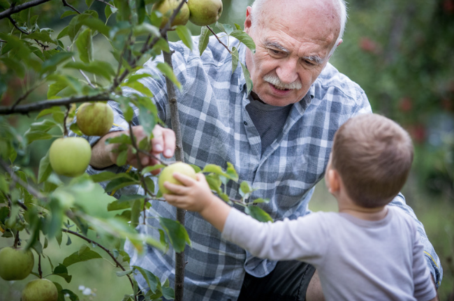 The Top Fall Activities For Seniors